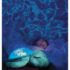 Lampka nocna z projekcją świetlną - Żółw podwodny niebieski (Cloud b)